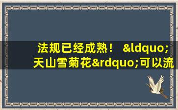 法规已经成熟！ “天山雪菊花”可以流行吗？